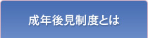 成年後見制度とは